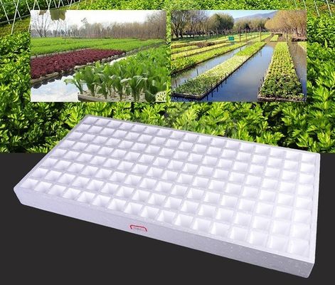 Máquina de espuma automática de bloque de bandeja de envío HS-CXJ-1750 EPS computarizada para el mercado