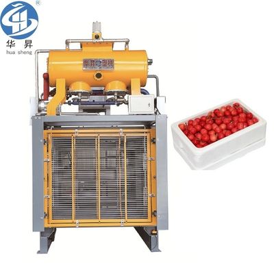 Máquina de espuma de caja de espuma EPS para el paquete Tamaño 5500.00cm * 2700.00cm * 3500.00cm y 6000kg