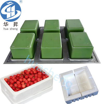 Compuesto Die EPS Caja de vegetales haciendo molde con diseño personalizado 60-180s Tiempo del ciclo