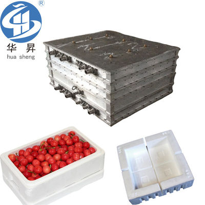 Molde de caja de espuma de aluminio EPS de instalación fija para envases seguros e aislados